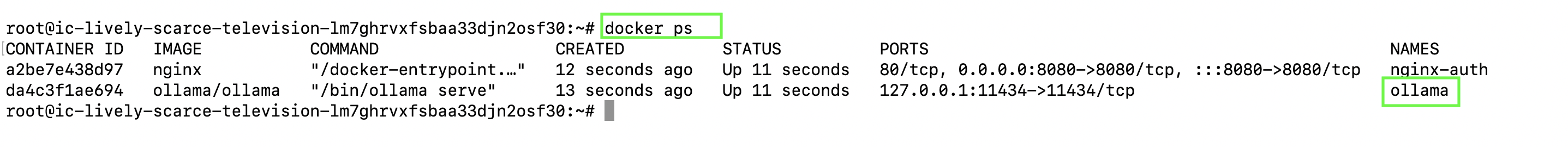 cic-ollama-docker